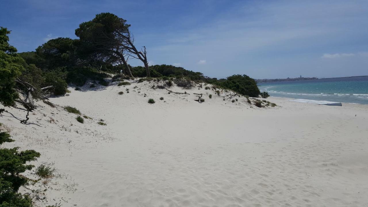 Apartmán Casaale Alghero Exteriér fotografie